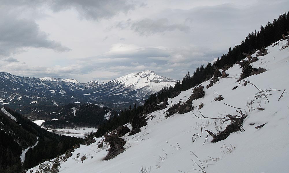 Panorama tscher